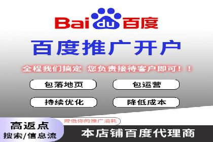 行业领先企业的SEM运营策略案例解析